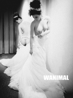 WANIMAL201312