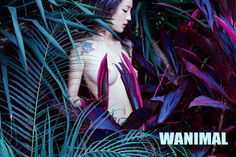 WANIMAL201508
